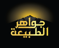Translation missing: en.Jawahar Tabeeia accessibility.home
